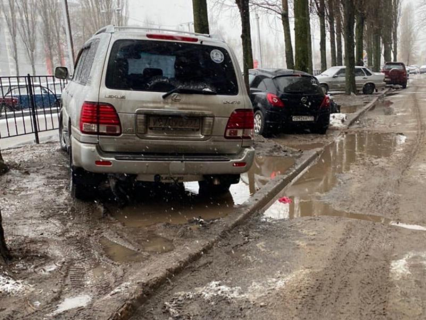 Любителям месить грязь в Воронеже пригрозили регулярным вниманием ГИБДД
