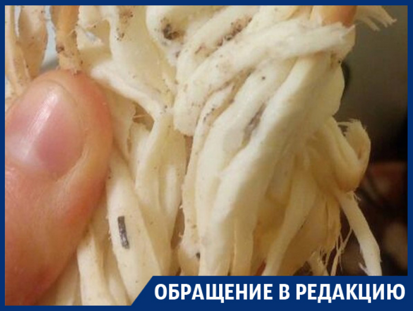 Воронежцев разочаровал местный сыр косичка с песком и грязью