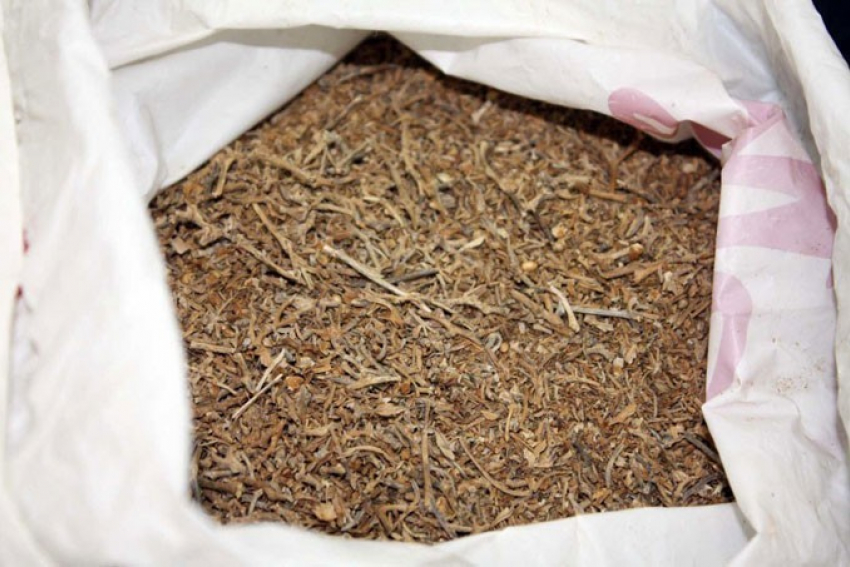Житель Воронежской области хранил дома больше килограмма марихуаны