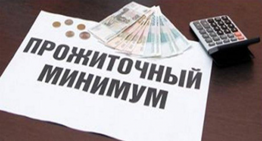 Прожиточный минимум населения Воронежской области вырос почти на 300 рублей