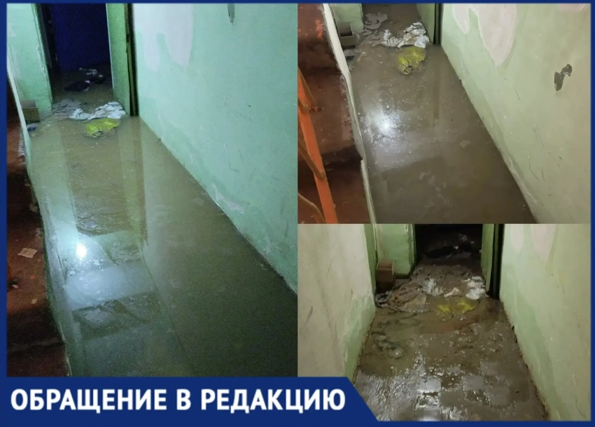 «Сотрудники травятся, свет отключен, а ремонт займет 3–4 месяца»: воронежский благотворительный склад утонул в фекалиях