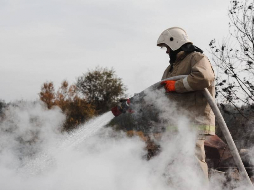 Страшные пожары в Воронежской области спрогнозированы на весну 2021