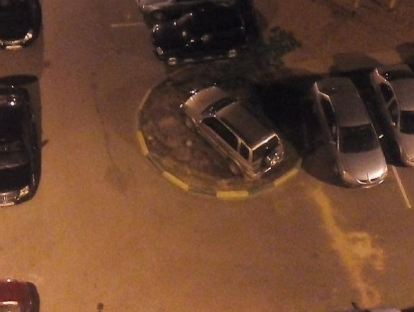 Удобрение как метод борьбы с автохамами предложили воронежцы