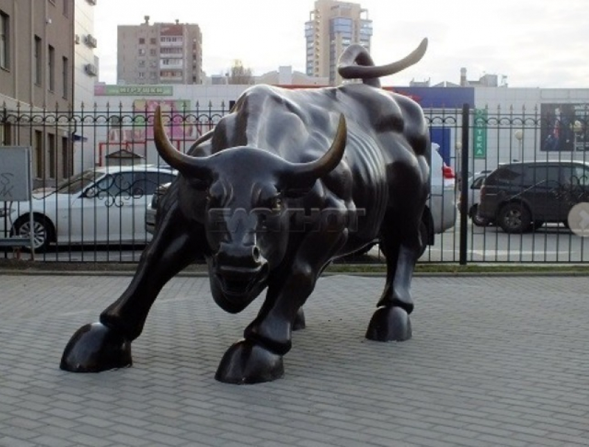 «Вместо быка я бы поставил осла, который символизирует большинство воронежских чиновников»