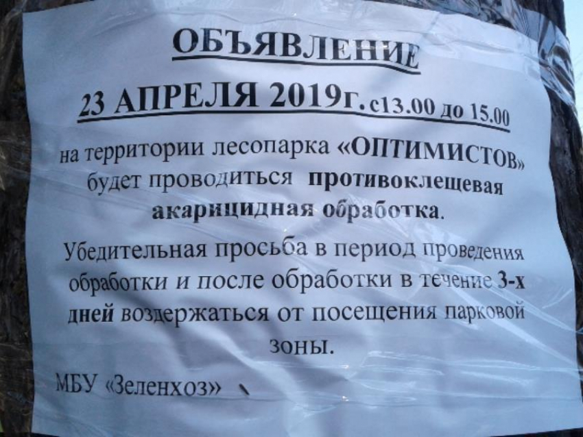 Предупреждение об опасном парке появилось в Воронеже