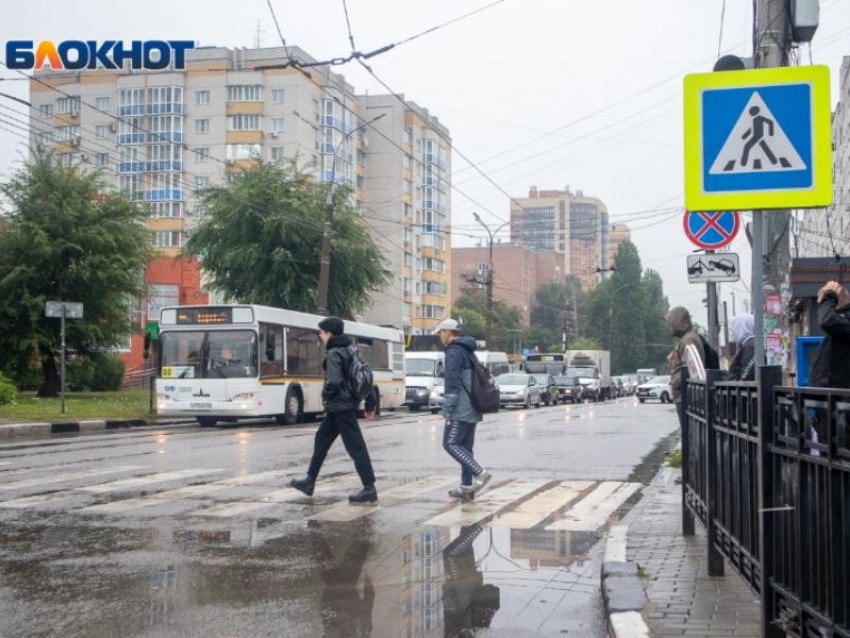 Резкое потепление накроет Воронежскую область 