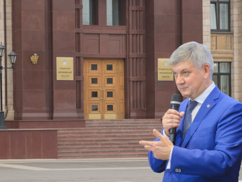 Здание областного правительства решили сделать ещё краше в Воронеже