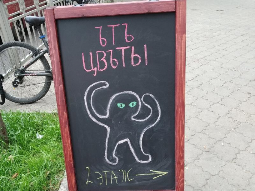 Интернет-мемы с юмором использовали для рекламы в Воронеже