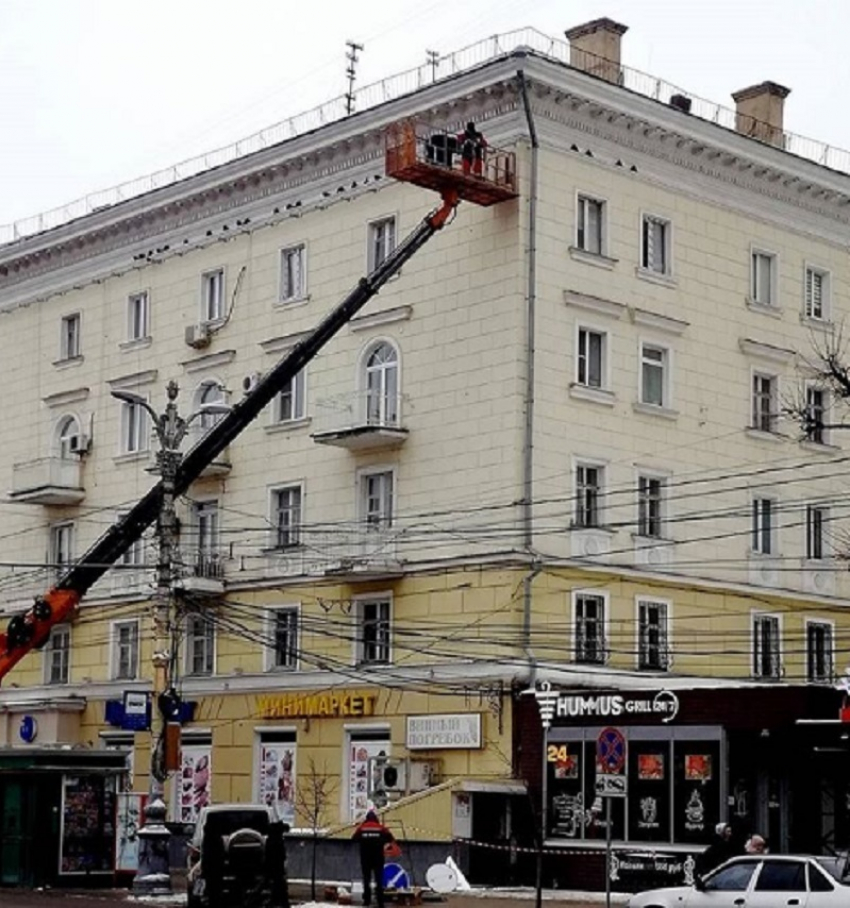 Трепетное отношение властей к голубям зафиксировали в Воронеже 