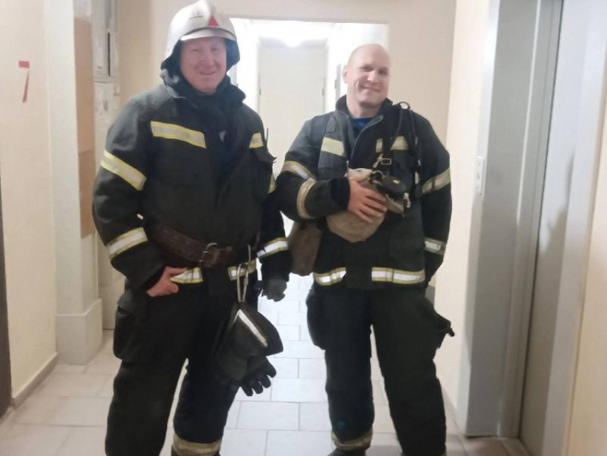 Запахло горелой проводкой: добрую историю про пожарных рассказали воронежцам