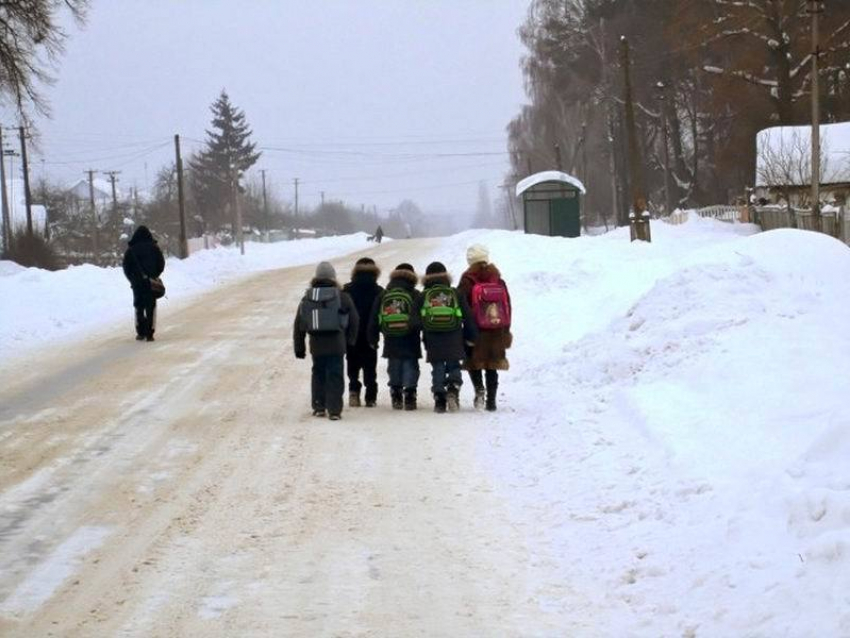 1,5 тысячи детей вынуждены ходить в школу по проезжей части под Воронежем