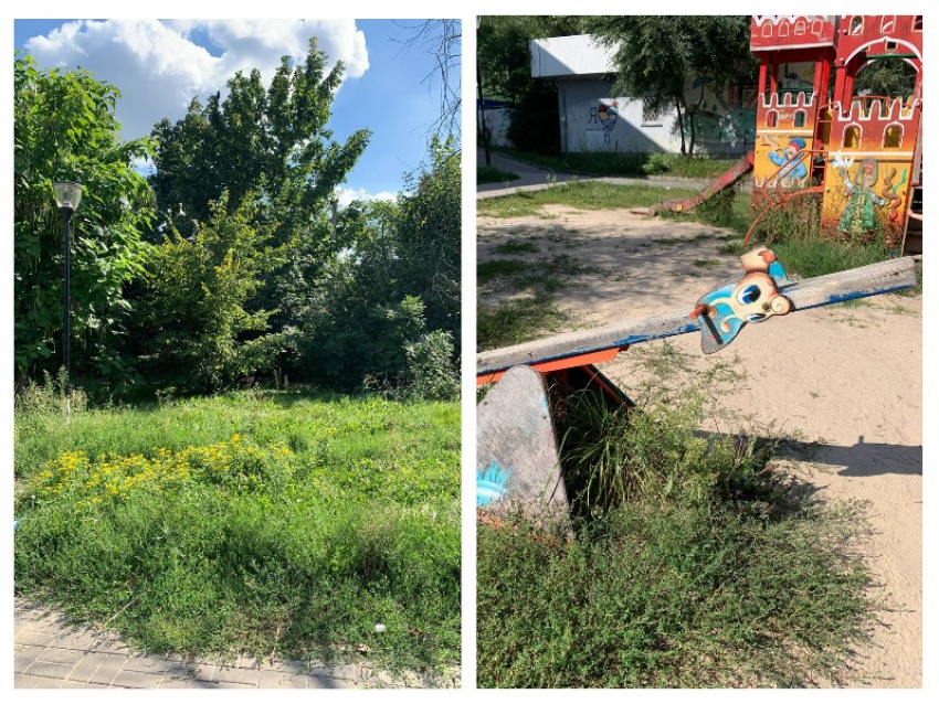 «Полная разруха»: на ужасное состояние сквера пожаловалась жительница Воронежа