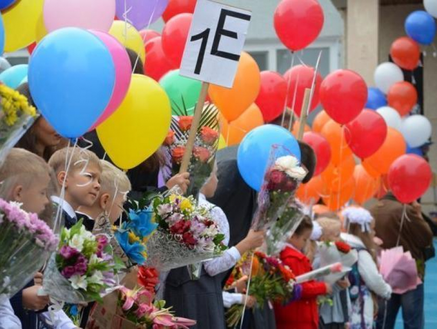 Учеников воронежских школ призвали отказаться от букетов на 1 сентября