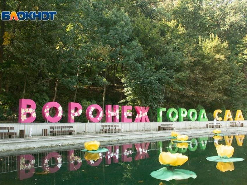 Фестиваль «Город-Сад» оказался сильнее коронавируса в Воронеже 