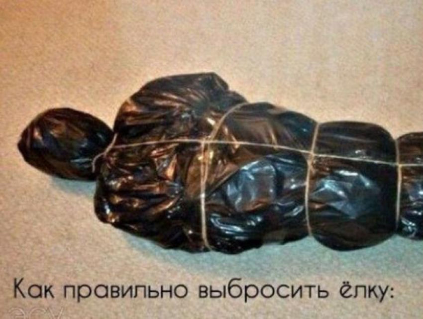 Воронежцам показали, как в Старый Новый год с черным юмором избавиться от елки