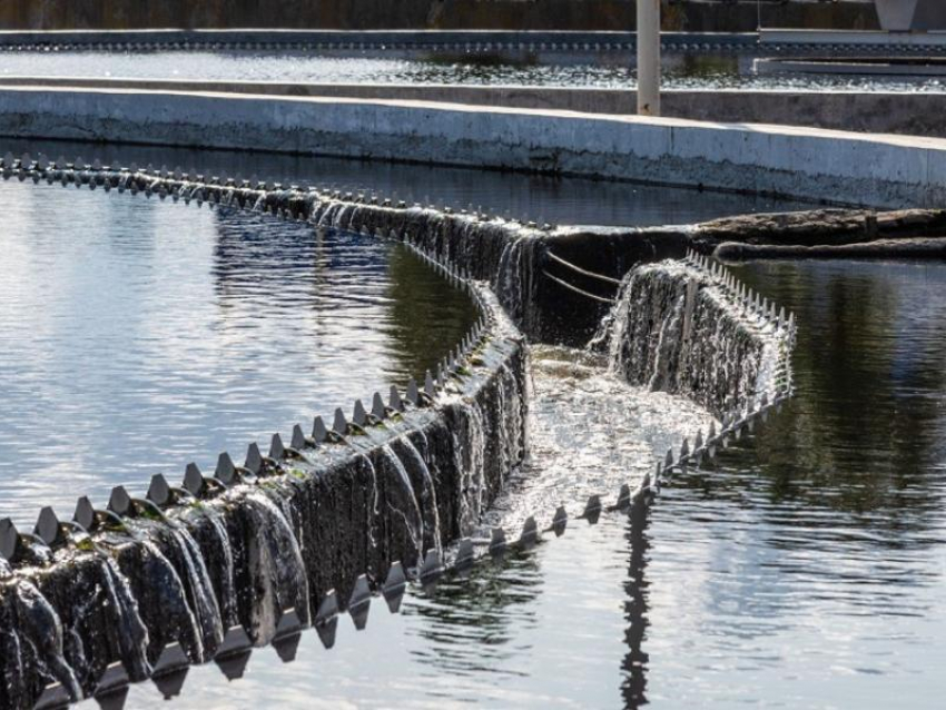 Светлая сторона РВК: что хорошего концессионер сделал для Воронежа за последние годы?