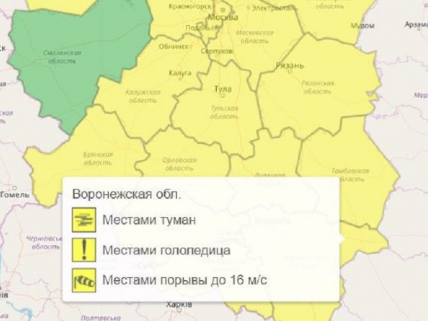 Три опасных погодных явления прогнозируют синоптики в Воронежской области 