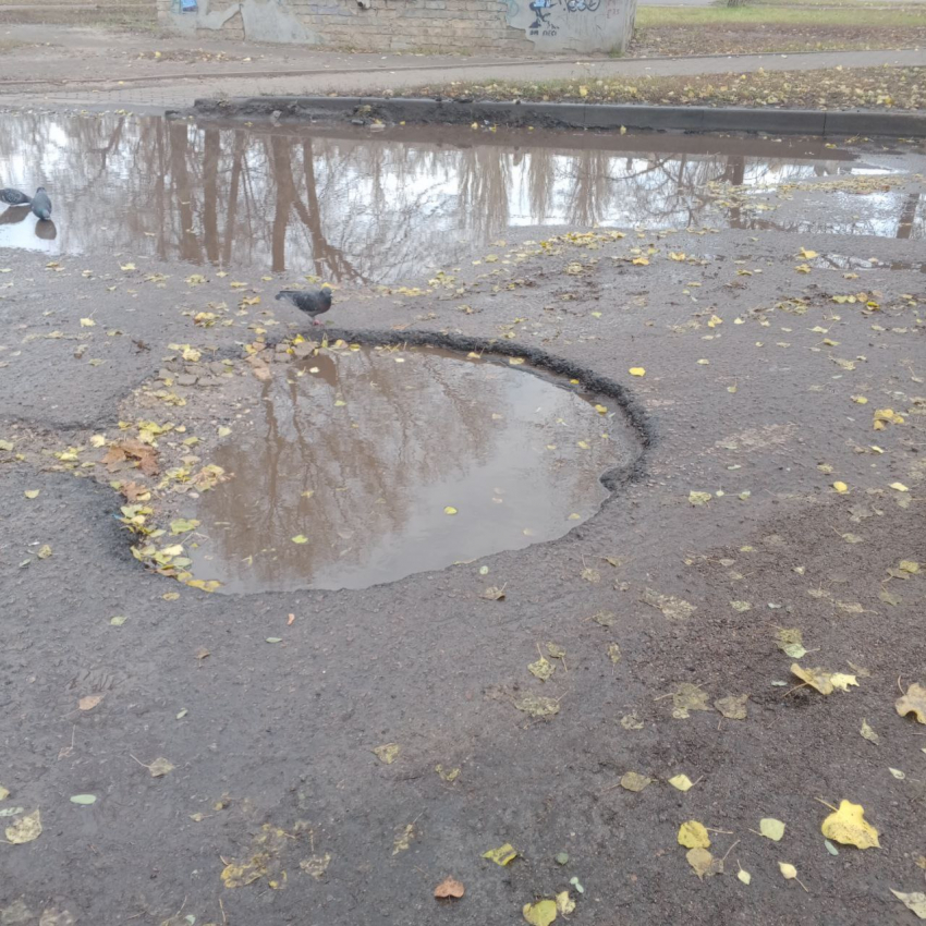Огромные ямы выросли в воронежском дворе