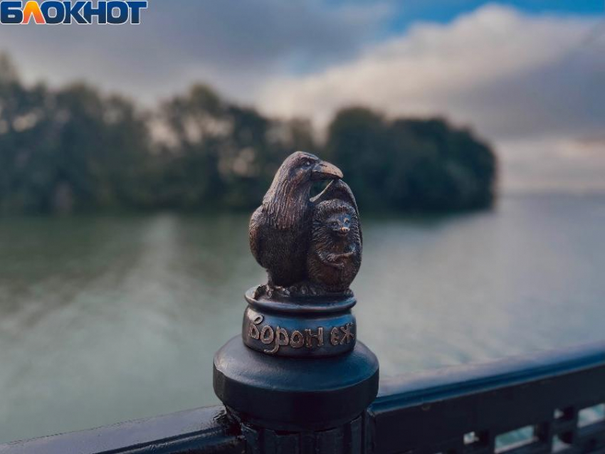 Воронежская область попала в топ-20 развитых научно-технологических регионов России 