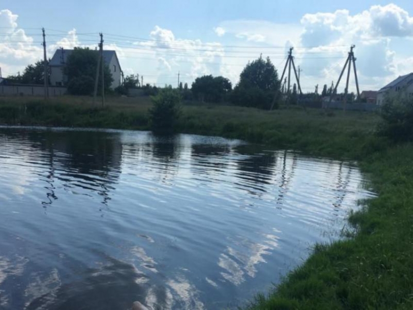 Труп в Никольском пруду обнаружили прохожие воронежцы 