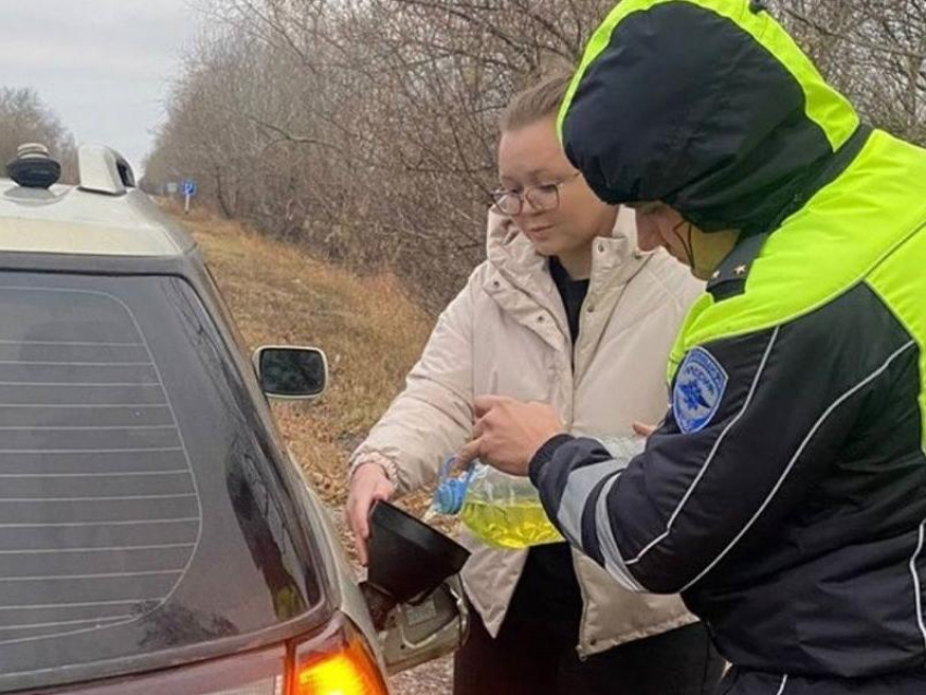 Полицейские помогли девушке на трассе в Воронежской области