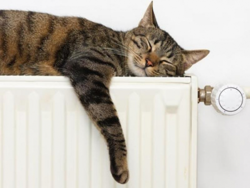 Когда отключат отопление в Воронеже, рассказали в мэрии