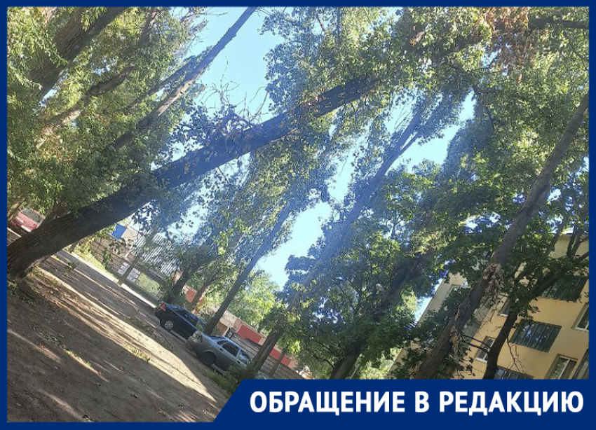 Воронежцы ждут, когда их дом разрушит чиновничье безразличие