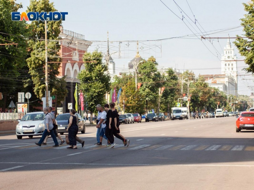 Общественников просят помочь в реконструкции проспекта Революции в Воронеже 