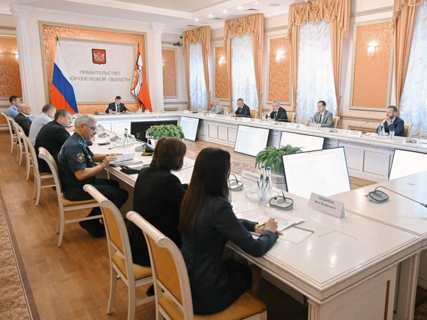 Жители Воронежской области определили приоритетные зоны для реновации в 2027 году
