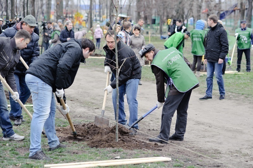 Воронежская мода на субботниках: Гордеев в кепке, Ключников - в петушке (ФОТО)