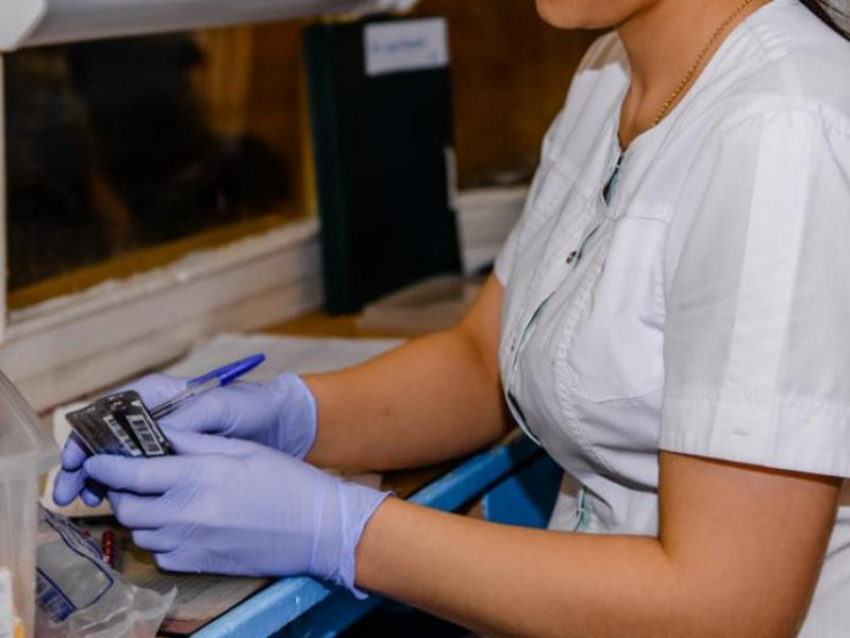 41 школу частично закрыли на болезненные каникулы в Воронеже 