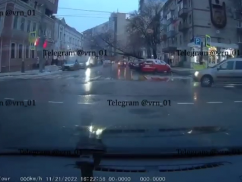 Момент падения дерева на машину попал на видео в Воронеже