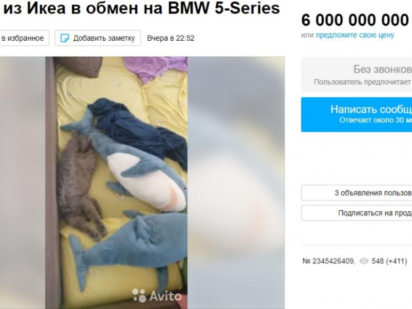 Акула за 6 миллиардов: житель Воронежа меняет «икеевскую» рыбу на BMW 5