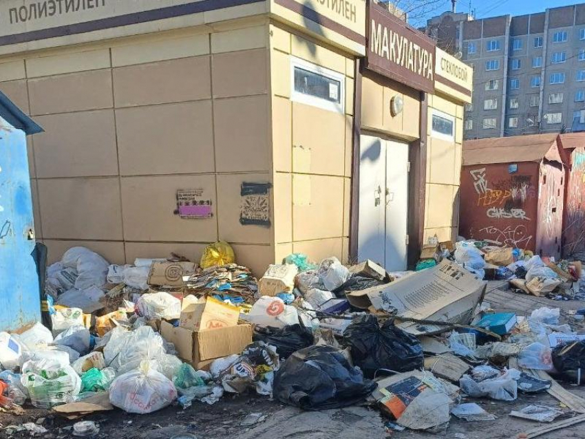 "Сплошная антисанитария": воронежцев возмутило скопление мусора