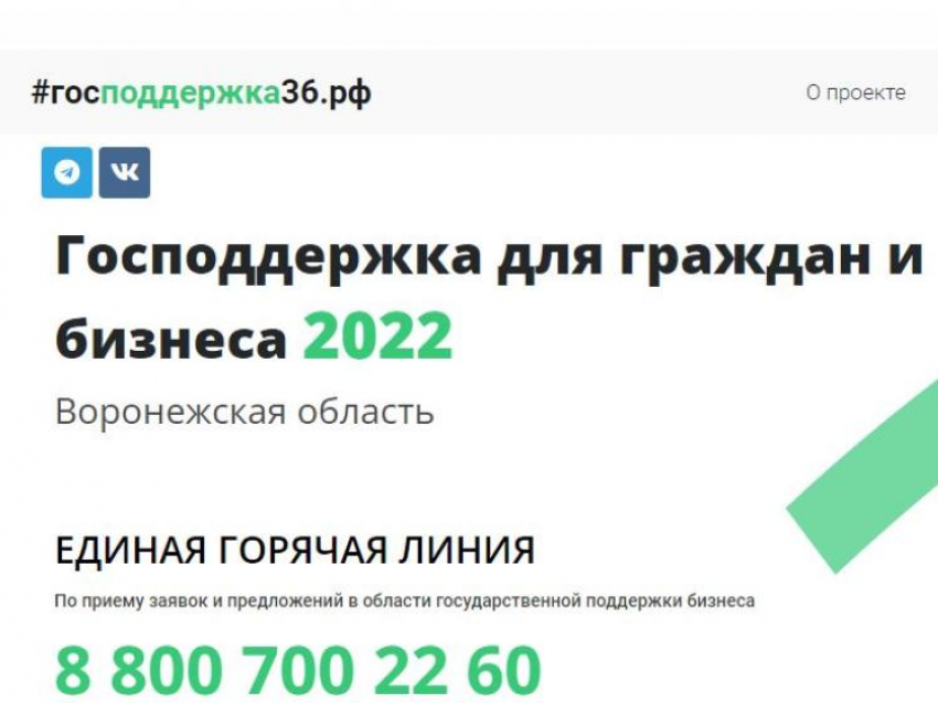 Сайт о господдержке бизнеса запустили в Воронежской области