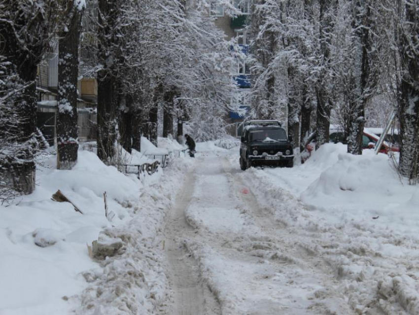 Общественники остались недовольны уборкой снега в Воронежской области