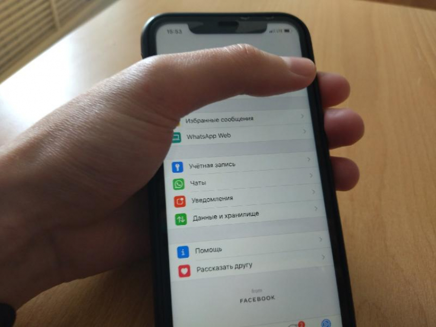 Воронежские чиновники возьмутся за родительские чаты после трагедии в Казани 