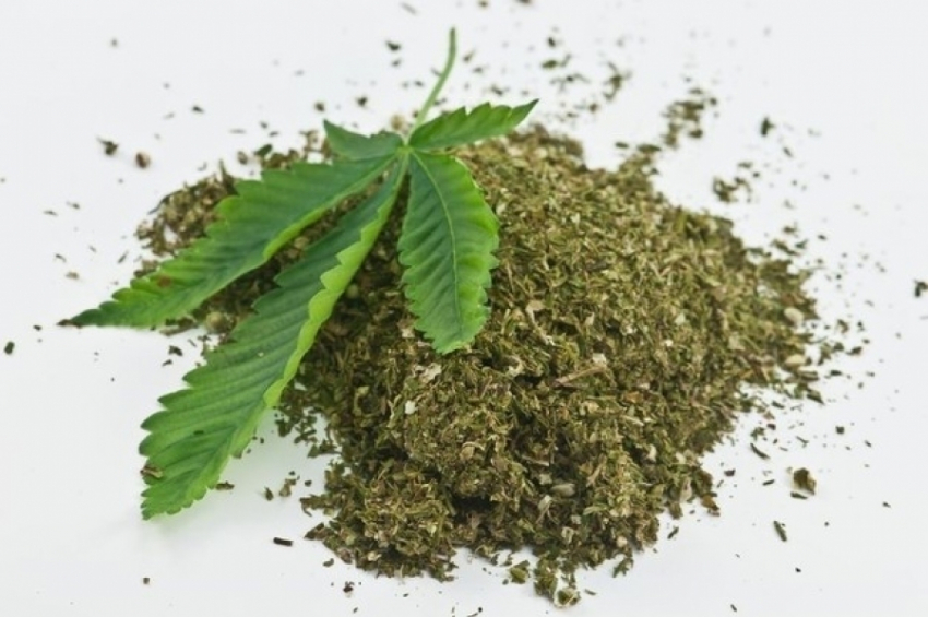 У жителя Воронежской области изъяли 800 граммов марихуаны
