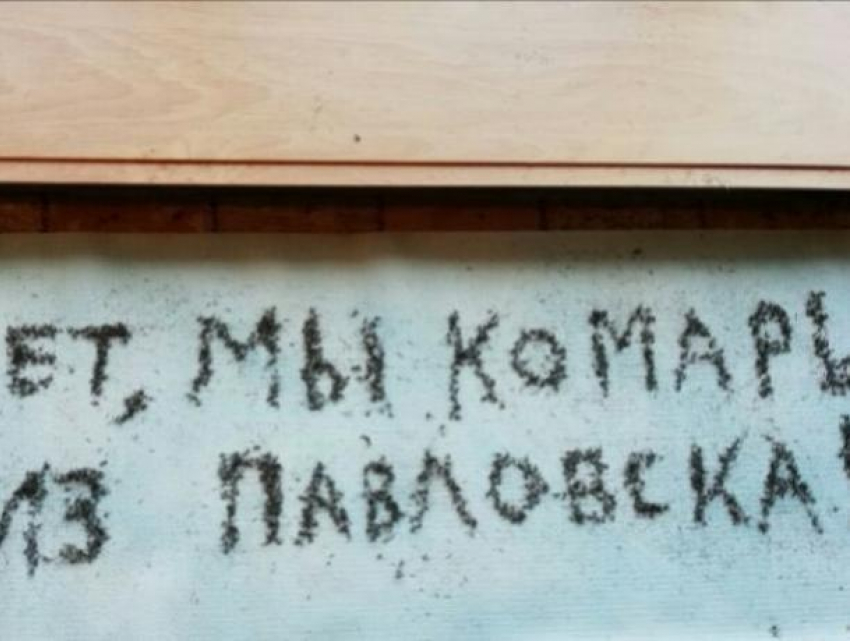Воронежцы выложили надпись трупами комаров