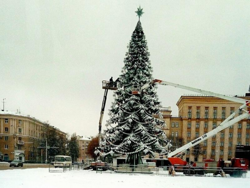 Стало известно, когда откроют главную елку Воронежа