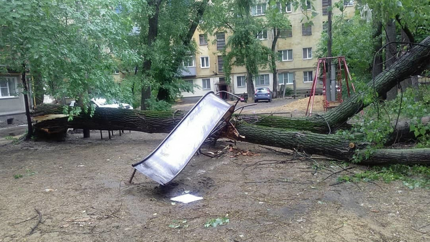 Рухнувшее от безумного ветра дерево разворотило детскую площадку в Воронеже