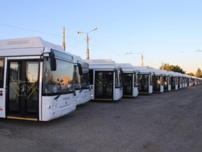Воронеж закупит 30 вместительных автобусов по 8,5 млн  рублей