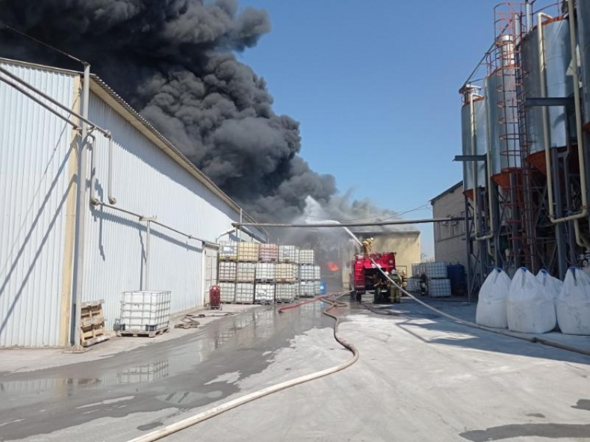 Опубликованы снимки пожара на складе в Воронежской области 