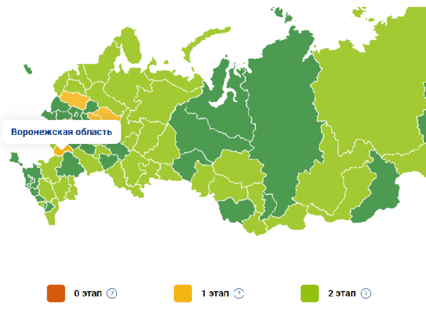 Коронавирусная десятка: место Воронежской области в рейтинге пораженных регионов 