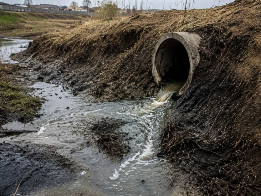 За ущерб почвам воронежское предприятие обязали выплатить 11,5 млн рублей