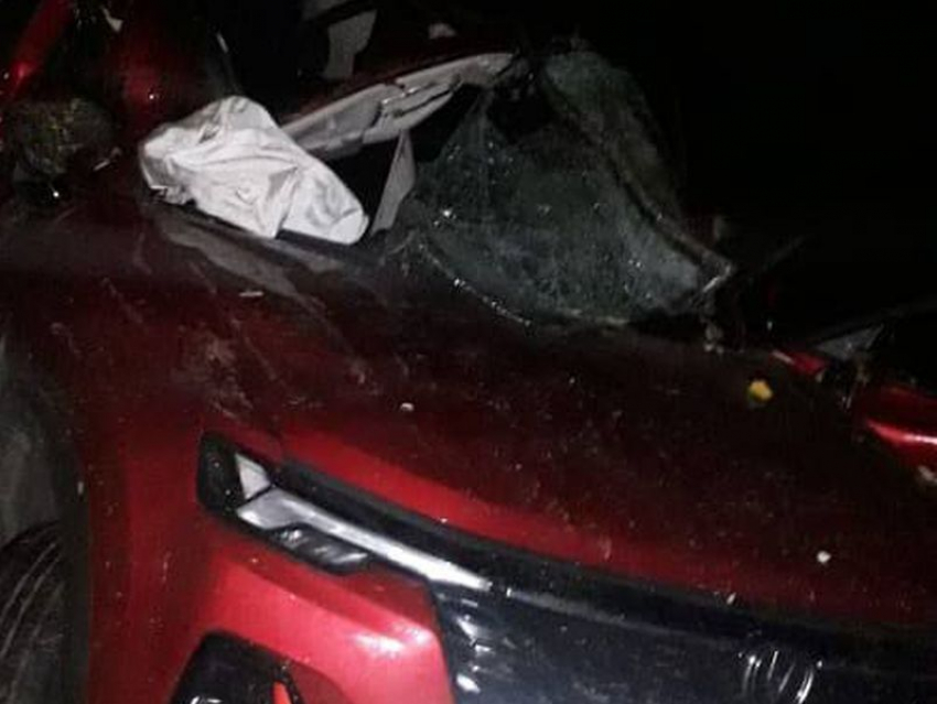 Страшное ДТП с молодоженами: 25-летняя девушка погибла на воронежской трассе