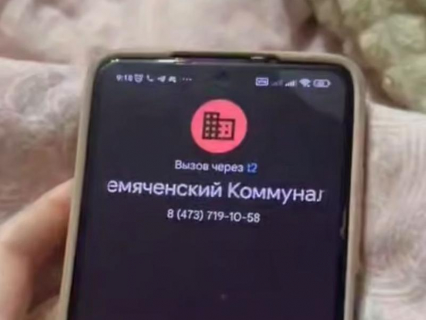 ﻿"Мы не милиция, чтобы проводить расследования", – ответ коммунальщиков удивил воронежцев