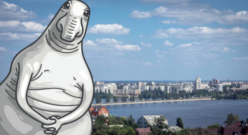 Ждун в Воронеже: чем популярный интернет-мем мог бы заняться в столице Черноземья