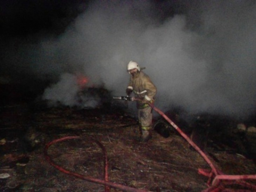 В Воронежской области неизвестные сожгли 10 тонн сена