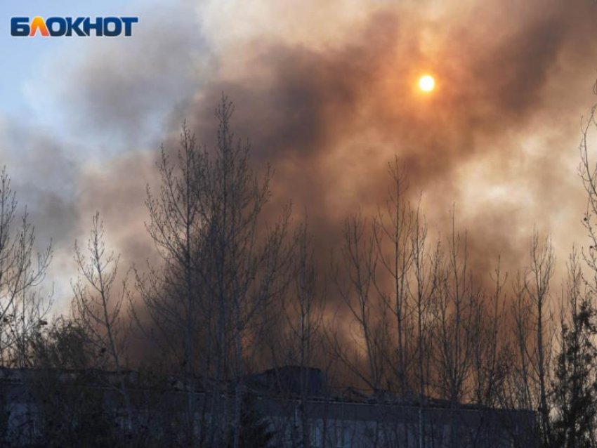 Неизвестные подожгли лес у воронежской больницы